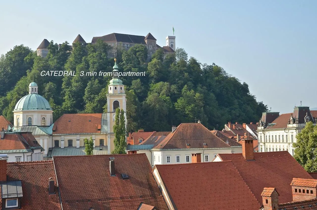 I Design Studio Ljubljana Slovenia